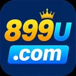 899u game logo